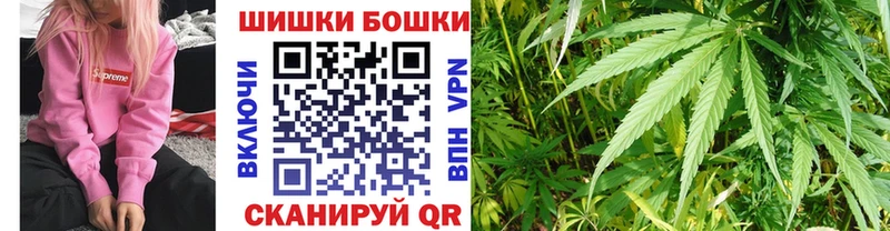 Купить закладку Собинка КЕТАМИН  Меф  СОЛЬ  Амфетамин  Гашиш  Бошки Шишки  Псилоцибиновые грибы 