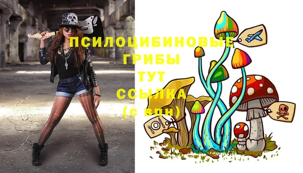 spice Балахна